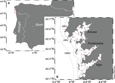 Potentially toxigenic phytoplankton patterns in the northwestern Iberian Peninsula
